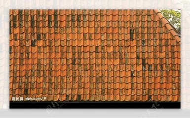 砖瓦岁月 瓦片屋顶的无声诗篇